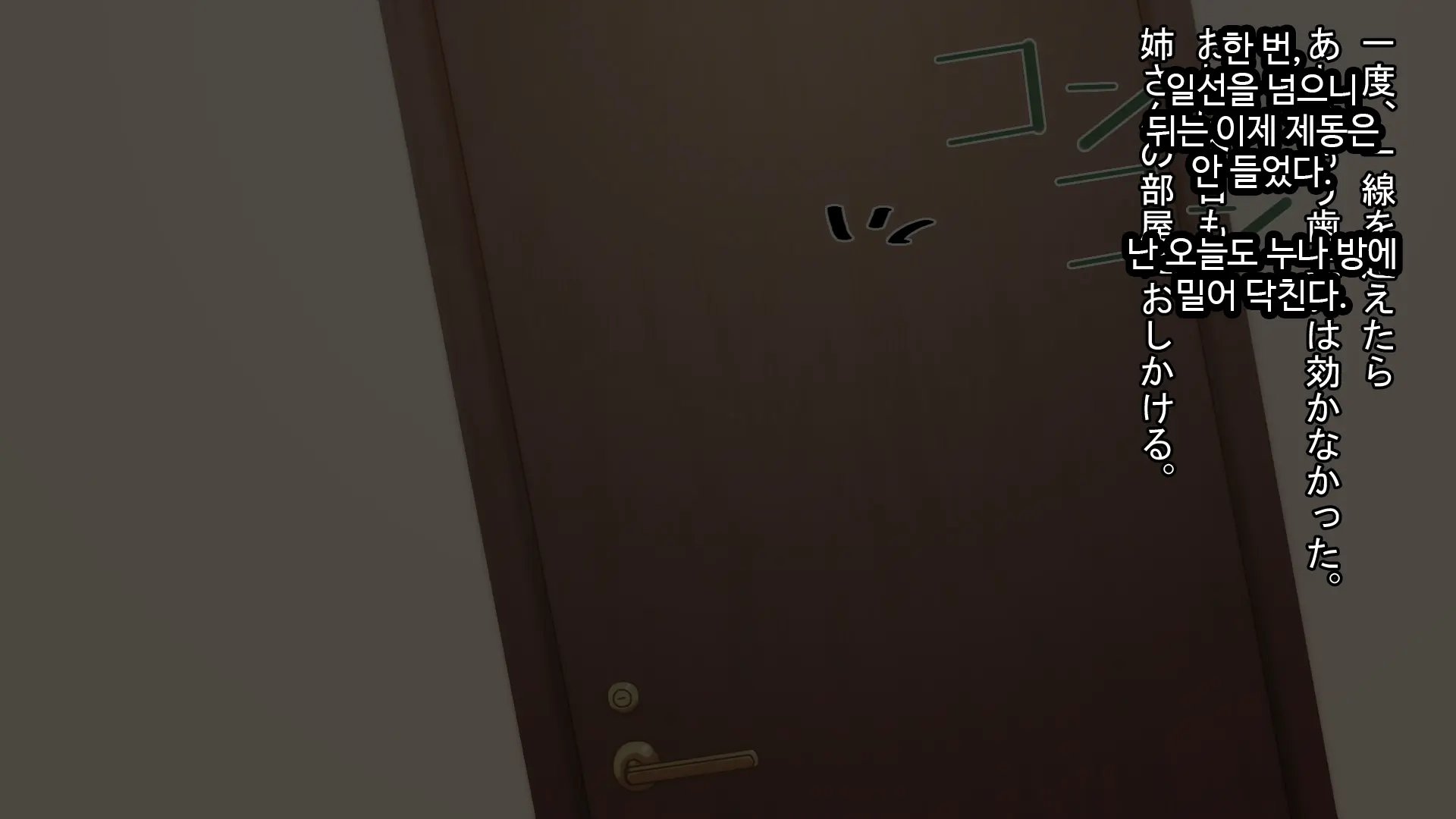 Muteikou Na Nee-San Suki Ni Shite Ii Yo...